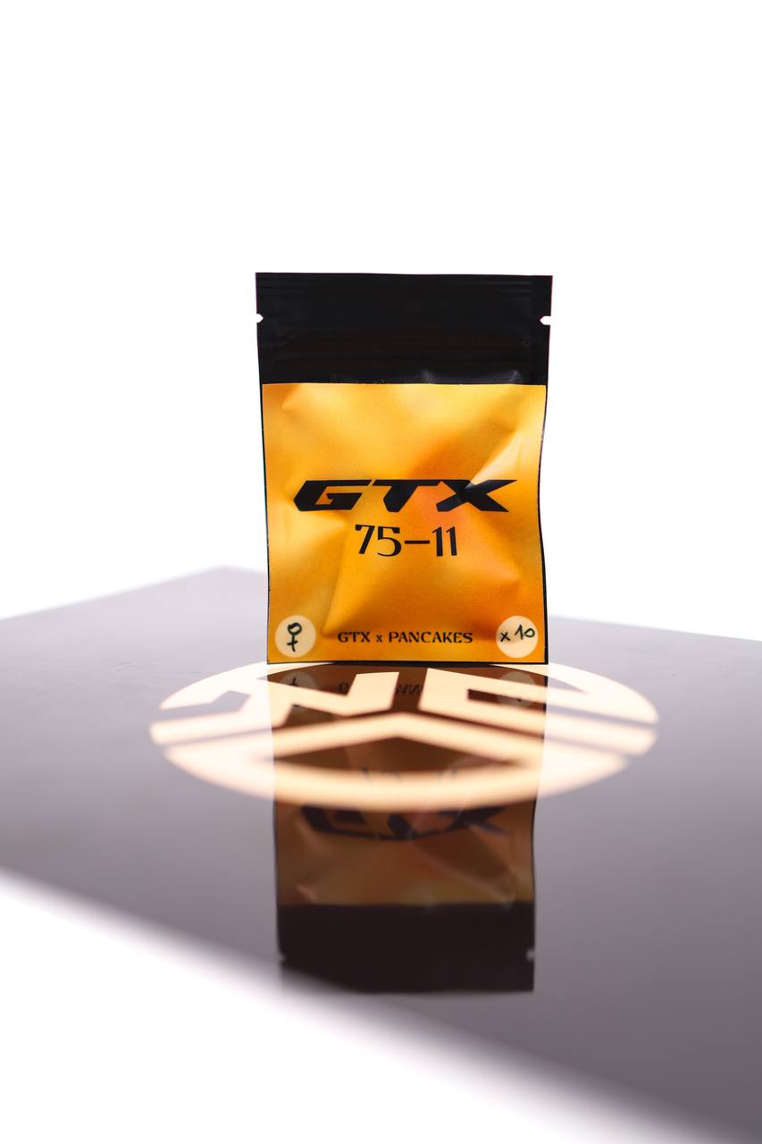 🥞 GTX 75-11 (Fem)
